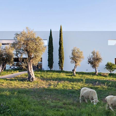 Villa Extramuros Arraiolos Esterno foto